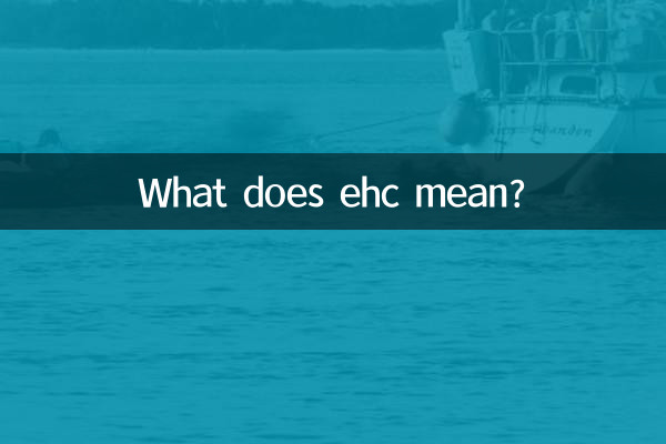 ehc মানে কি?