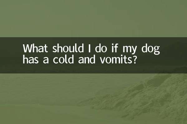 আমার কুকুরের সর্দি এবং বমি হলে আমার কী করা উচিত?
