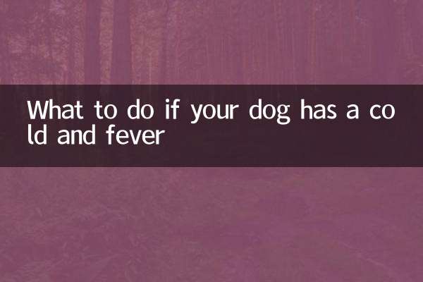 اگر سگ شما سرما خورده و تب دارد چه باید کرد؟