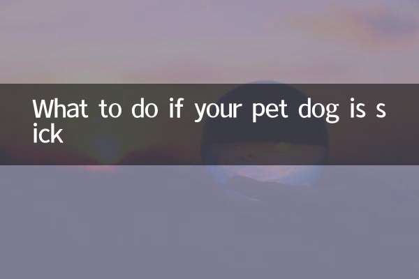 宠物狗生病了怎么办