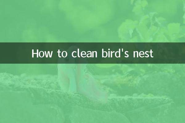 鳥の巣の掃除方法