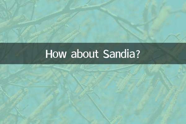 サンディアはどうですか？