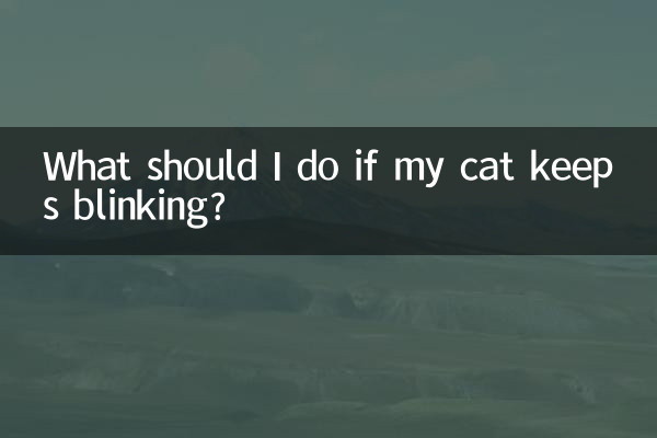 What should I do if my cat keeps blinking?