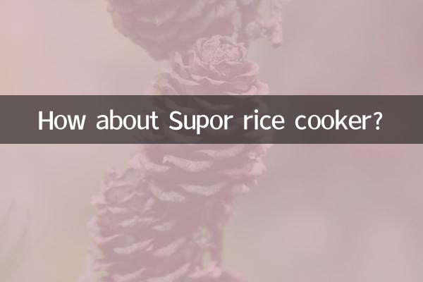 Wie wäre es mit einem Supor-Reiskocher?