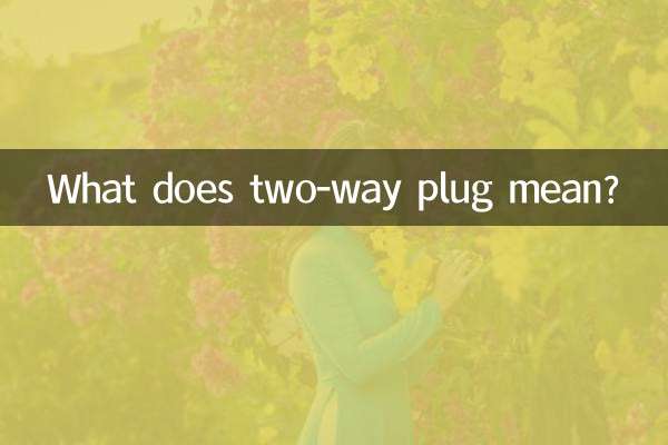 دوشاخه دو طرفه یعنی چی؟