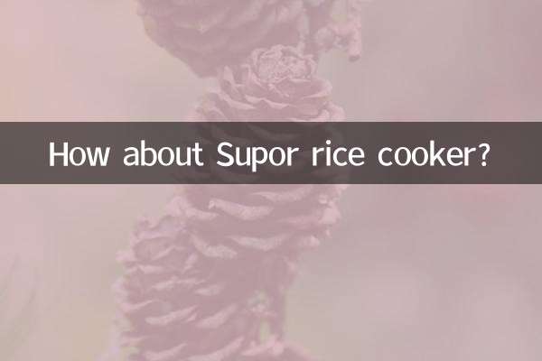 ¿Qué tal la olla arrocera Supor?