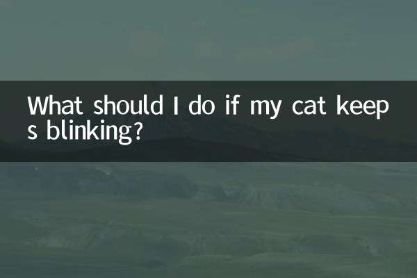 What should I do if my cat keeps blinking?