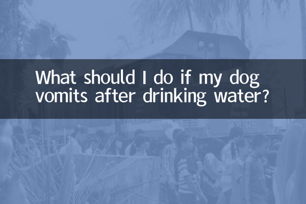 Что делать, если у моей собаки рвота после питья воды?