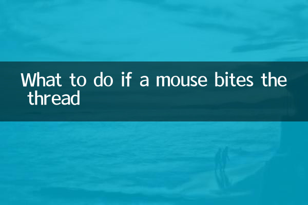 마우스가 실을 물면 어떻게 해야 할까요?