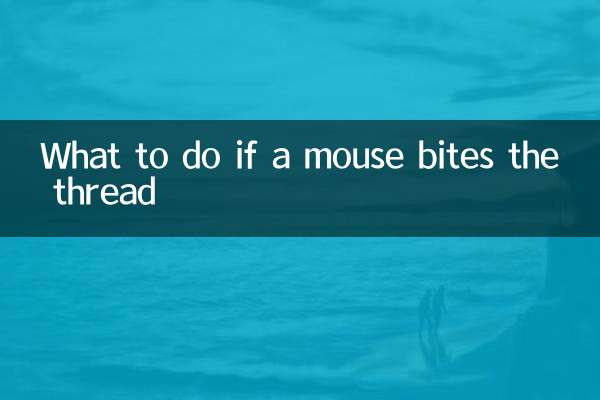 마우스가 실을 물면 어떻게 해야 할까요?