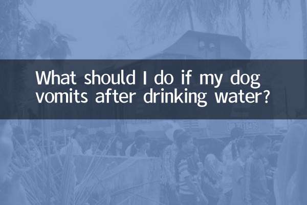 Что делать, если у моей собаки рвота после питья воды?