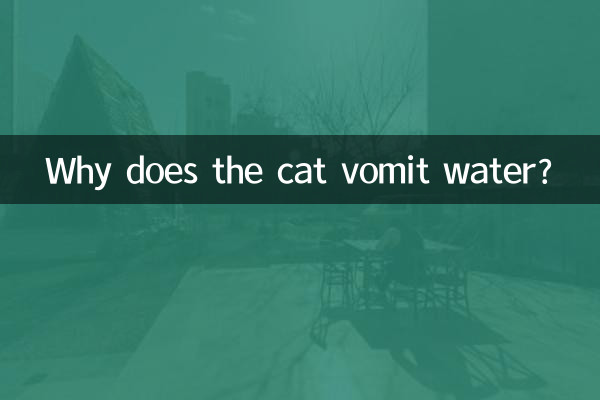 Pourquoi le chat vomit-il de l'eau ?