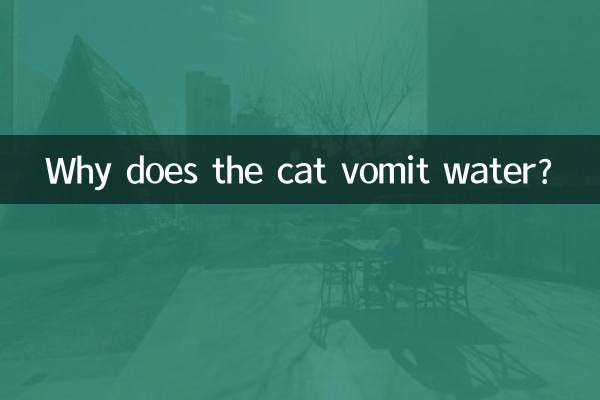 Warum erbricht die Katze Wasser?