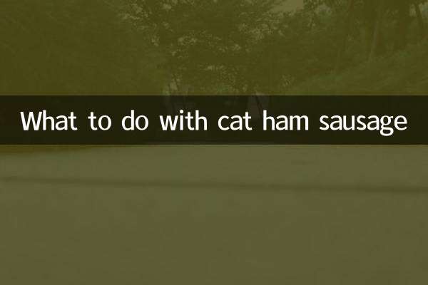What to do with cat ham sausage