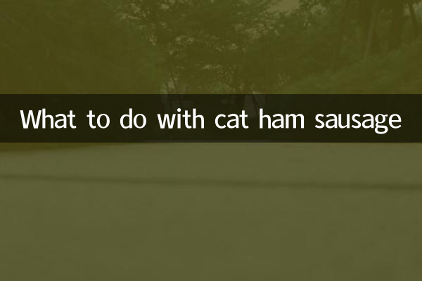 Was tun mit Katzenschinkenwurst?