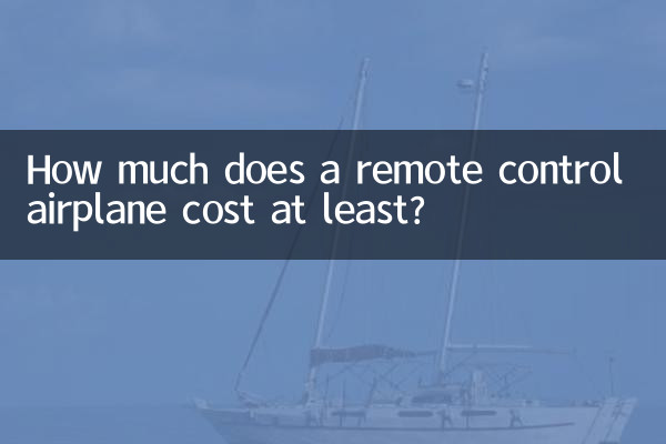 How much does a remote control airplane cost at least?