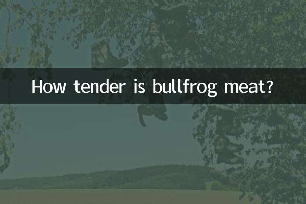 How tender is bullfrog meat?