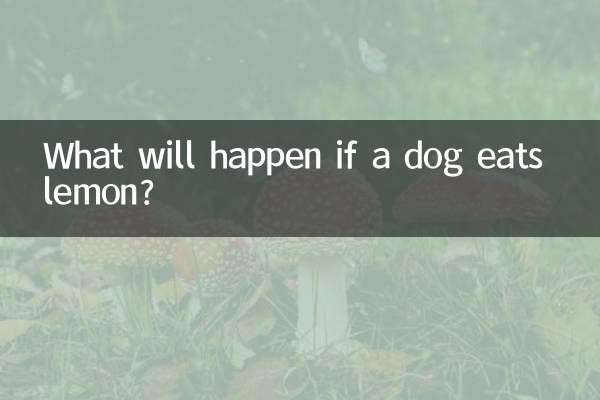 狗吃檸檬會怎麼樣