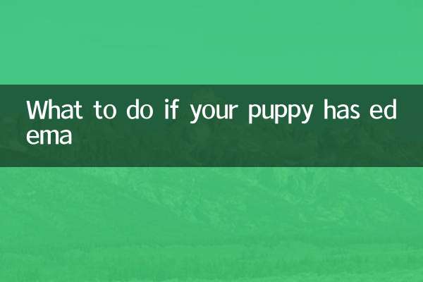 আপনার কুকুরছানা এডিমা হলে কি করবেন