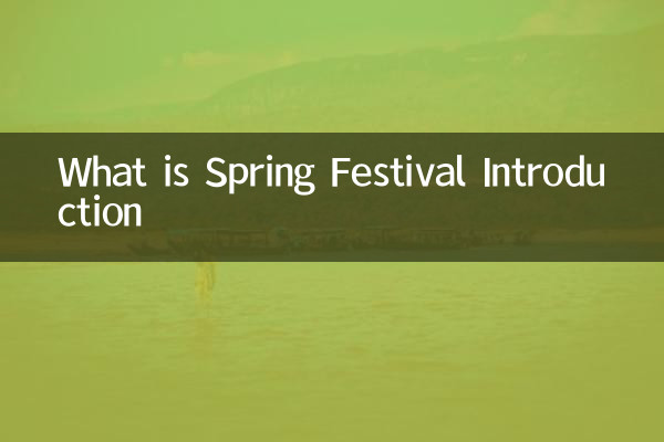 What is Spring Festival Introduction