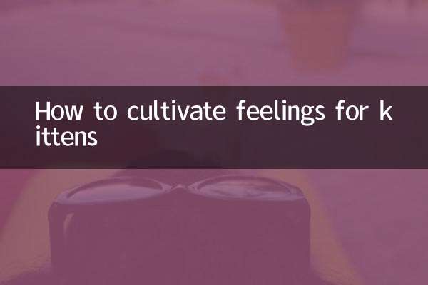 How to cultivate feelings for kittens