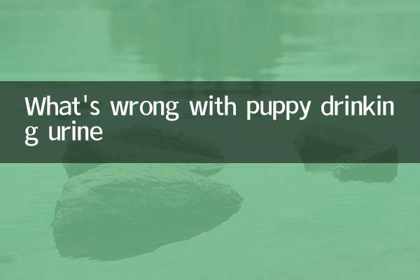 子犬を飲む尿の何が問題になっていますか