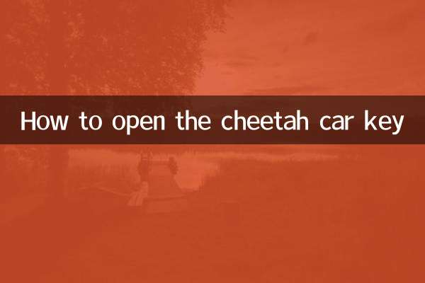 How to open the cheetah car key
