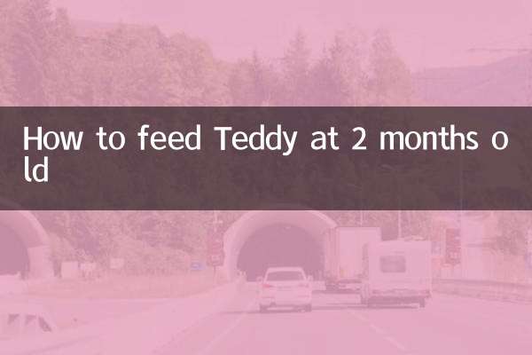 How to feed Teddy at 2 months old