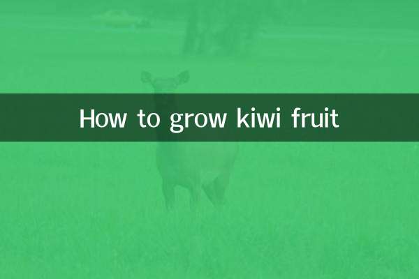 How to grow kiwi fruit