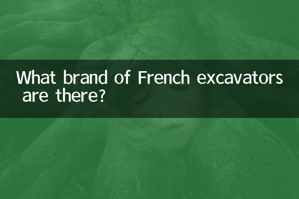 What brand of French excavators are there?