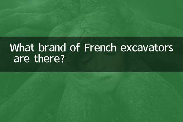 What brand of French excavators are there?