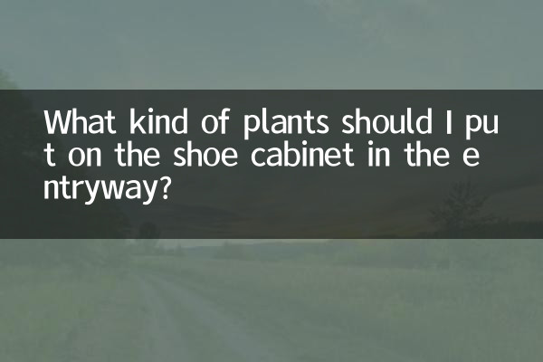 Que tipo de plantas devo colocar na sapateira da entrada?