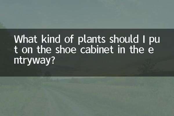 Que tipo de plantas devo colocar na sapateira da entrada?