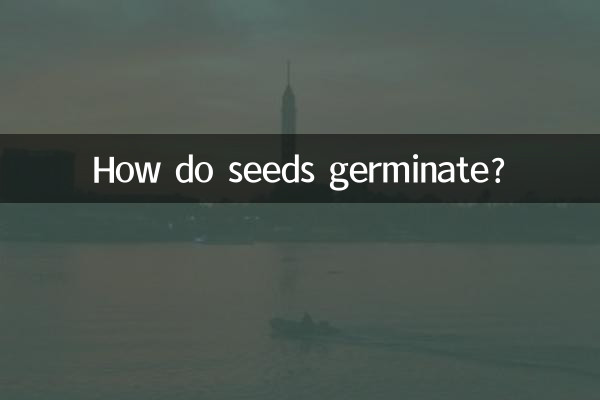 씨앗은 어떻게 발아하나요?