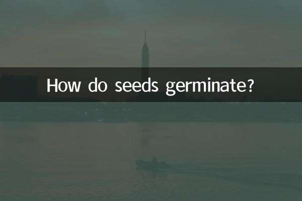 种子是怎么发芽的