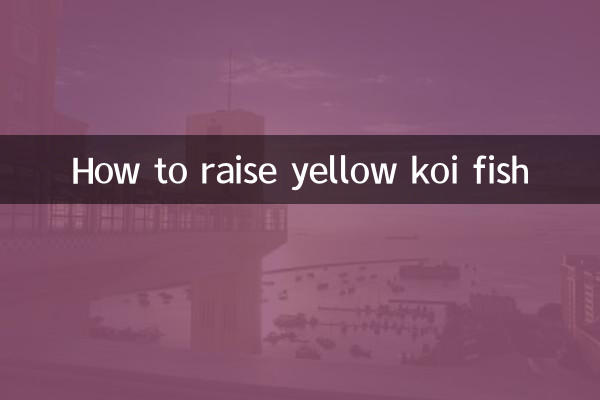 پیلے رنگ کی مچھلی کو کیسے پالیں