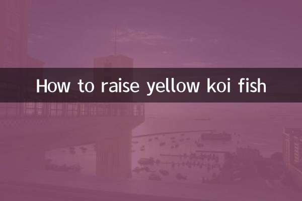 কিভাবে হলুদ কোই মাছ বাড়াবেন