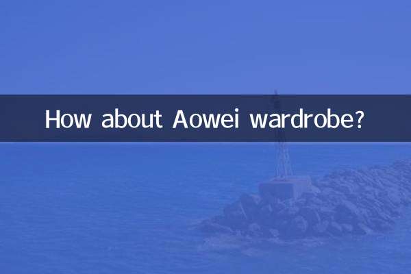Aowei 옷장은 어떻습니까?