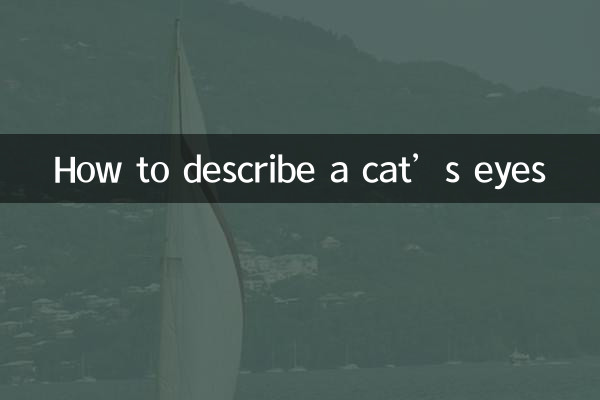 بلی کی آنکھوں کو کیسے بیان کریں