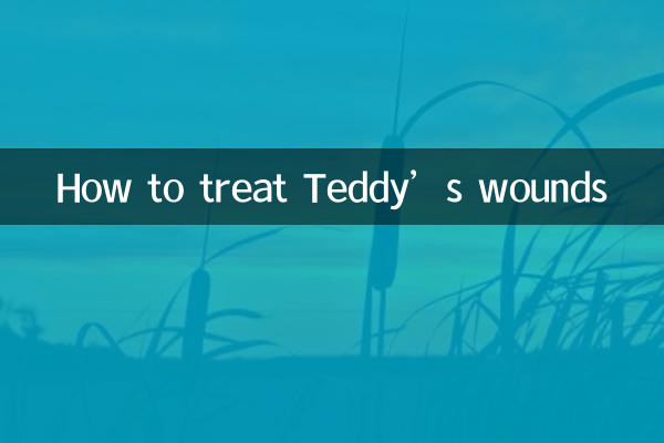 How to treat Teddy’s wounds