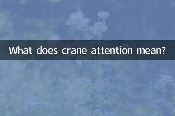 Cosa significa attenzione alla gru?