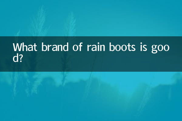 रेन बूट्स का कौन सा ब्रांड अच्छा है?