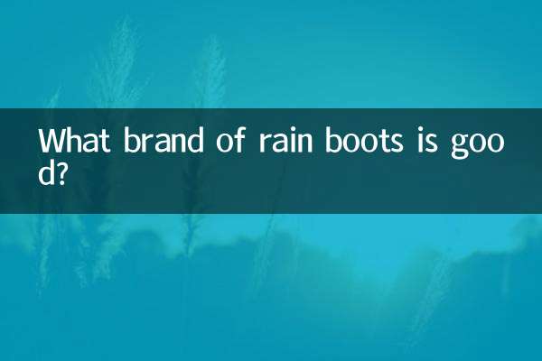 雨靴什麼牌子好