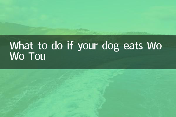 Cosa fare se il tuo cane mangia Wo Wo Tou