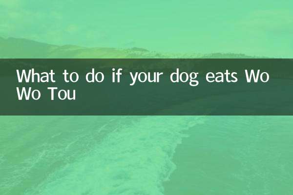 Qué hacer si tu perro come Wo Wo Tou
