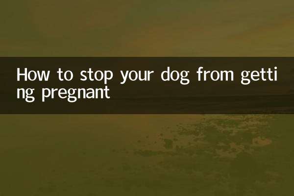 So verhindern Sie, dass Ihre Hündin schwanger wird