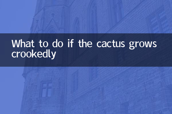 仙人球長歪了怎麼辦