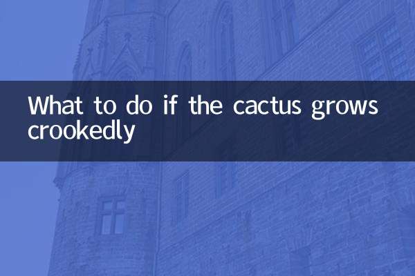 仙人球長歪了怎麼辦