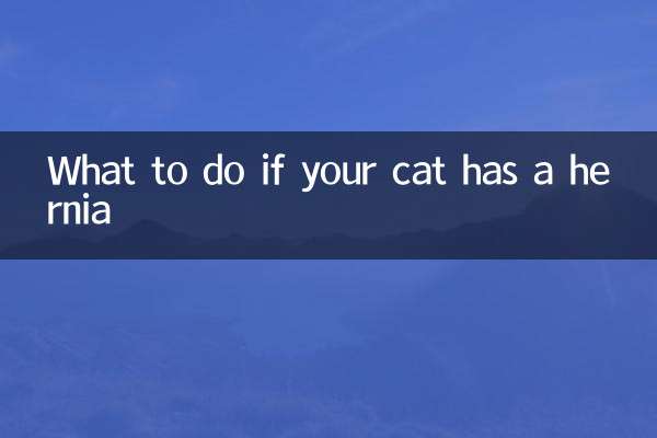 আপনার বিড়ালের হার্নিয়া হলে কি করবেন