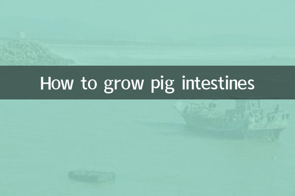 豚腸の育て方